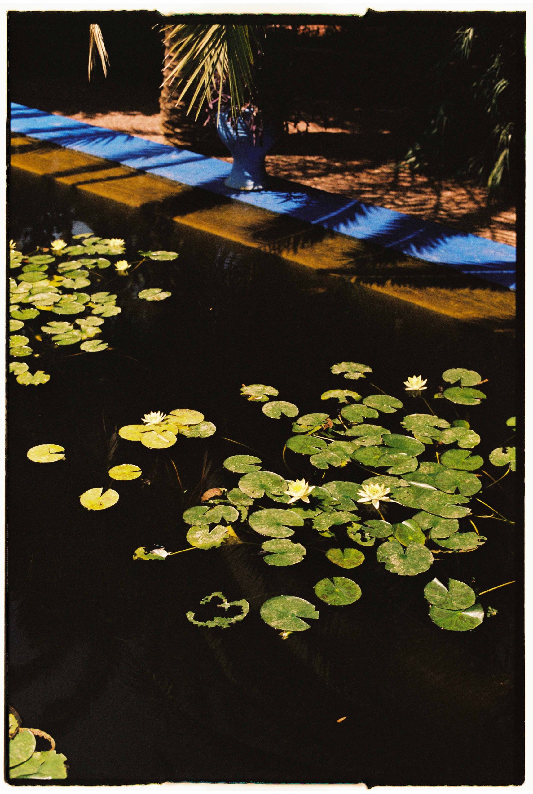 Marrakech — The Travel Diaries