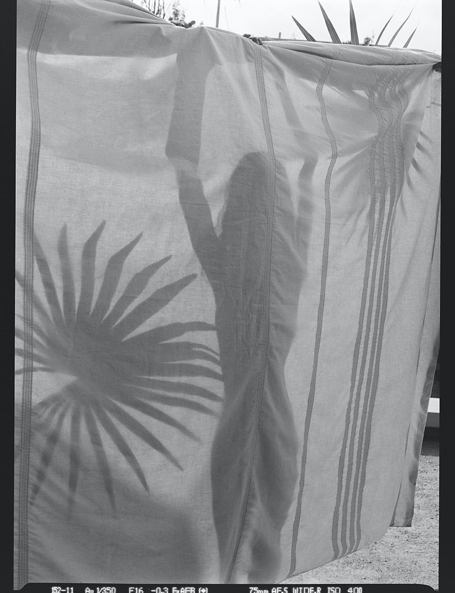 Home Spring Summer