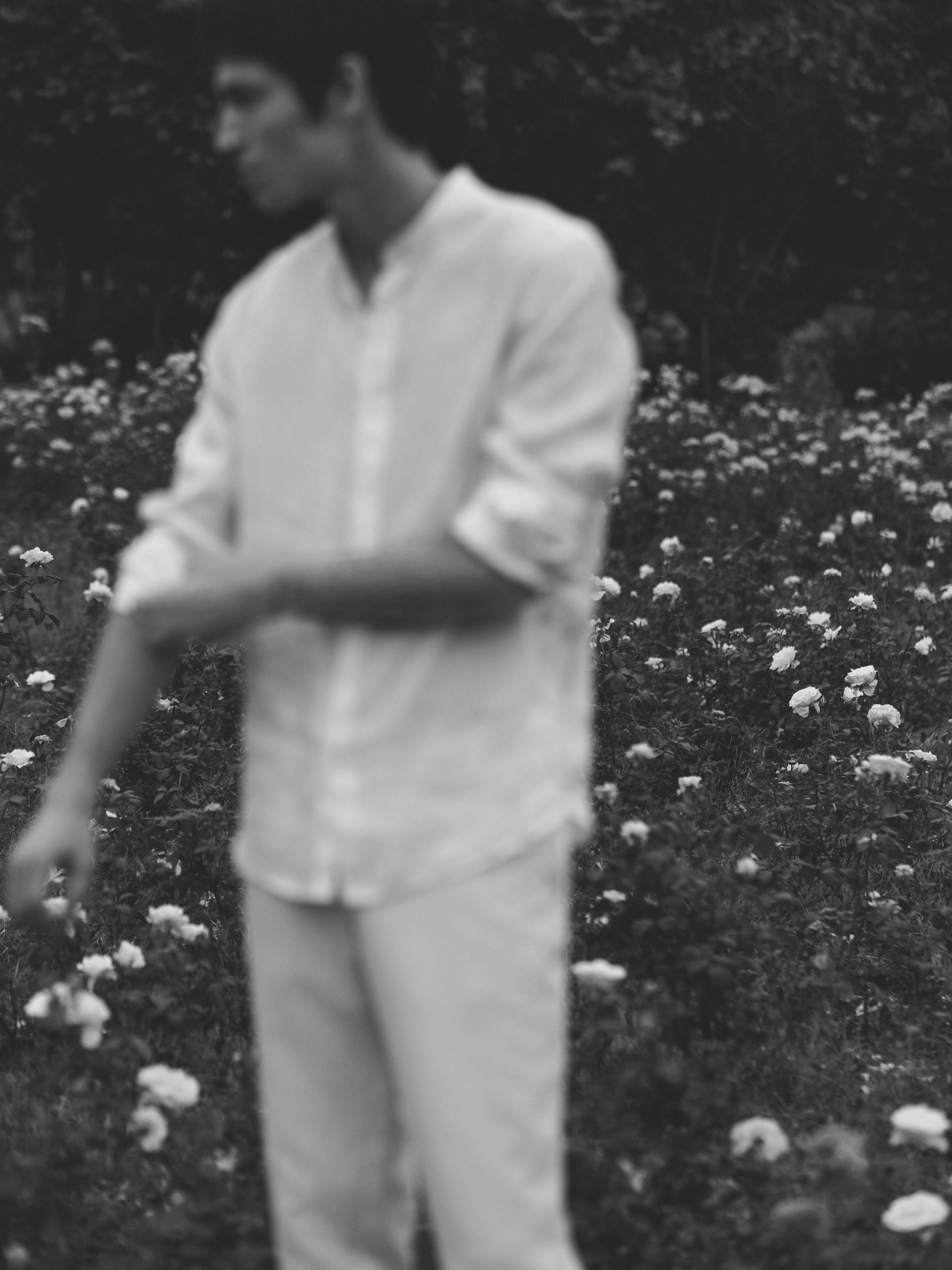 Through Fields