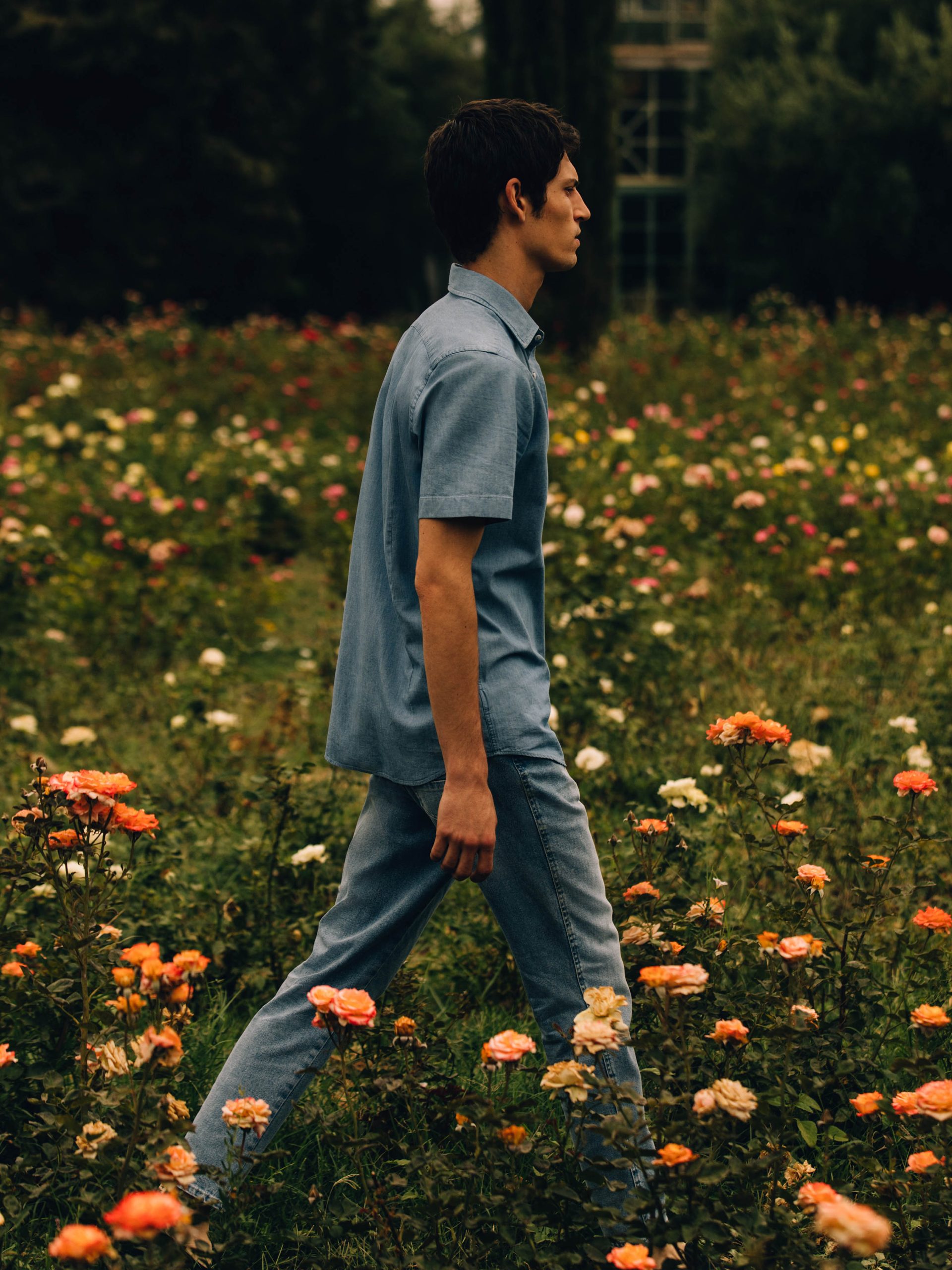 Through Fields