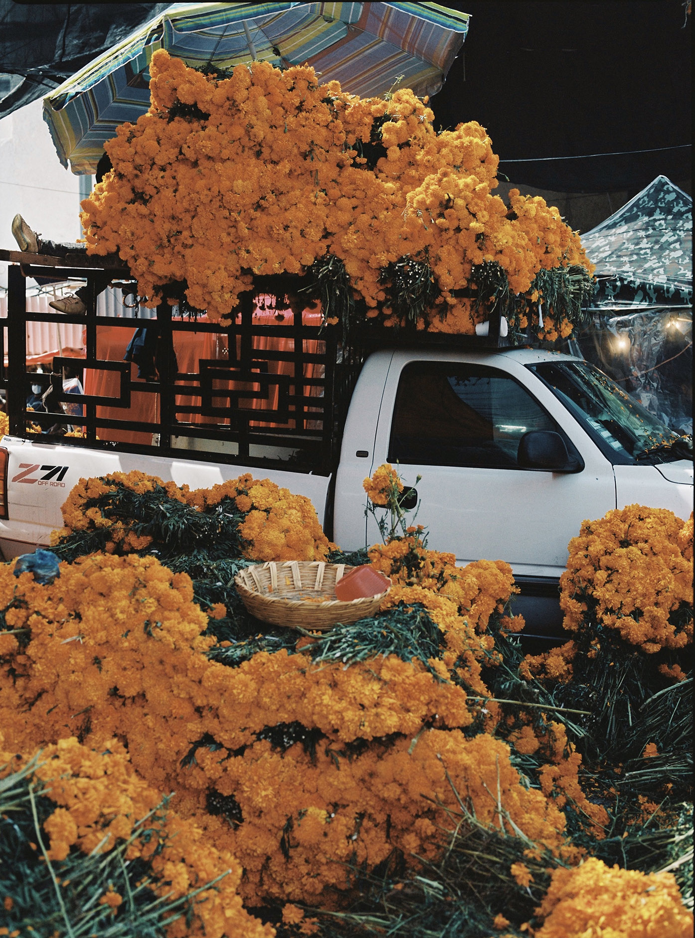 Travel Diary