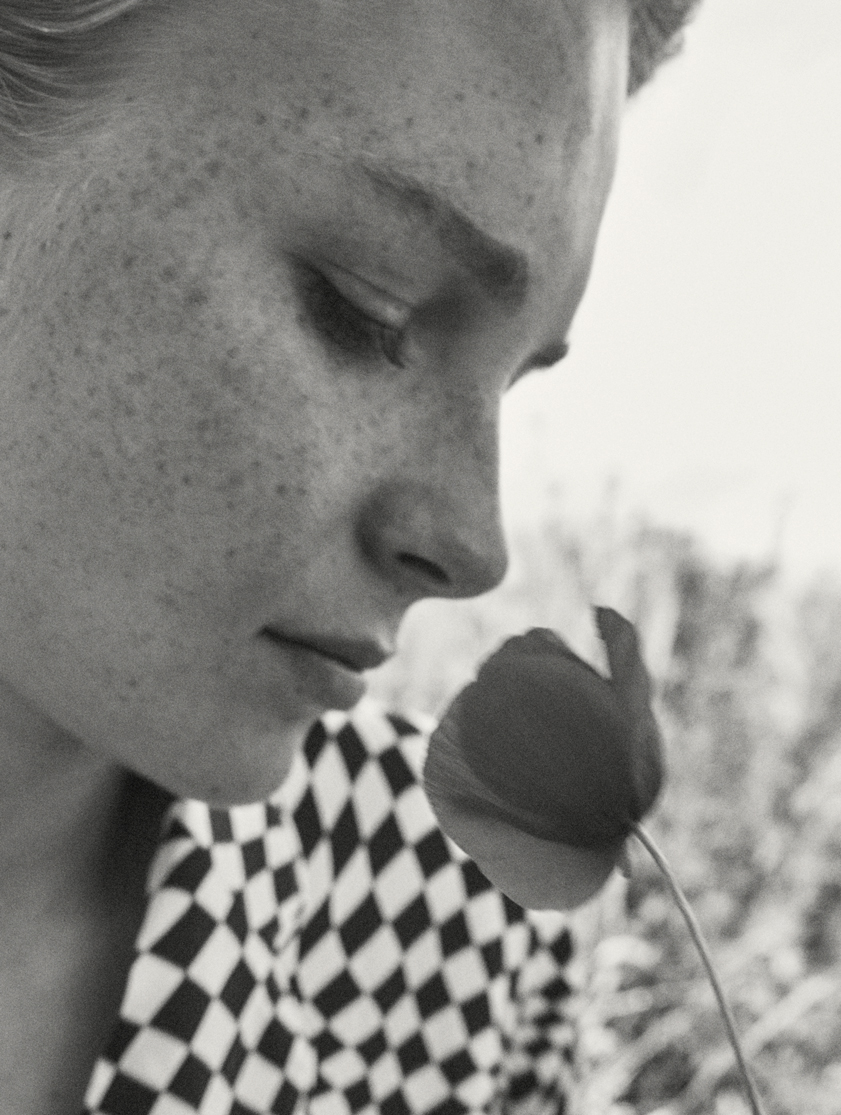 Steffi Cook