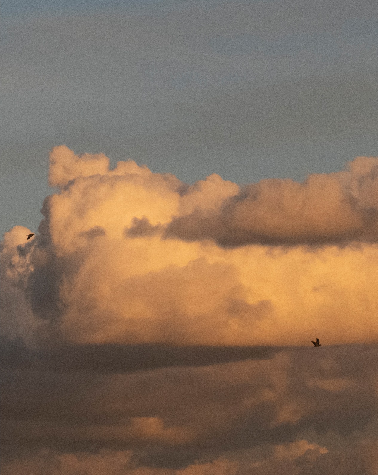 Sueños de Invierno