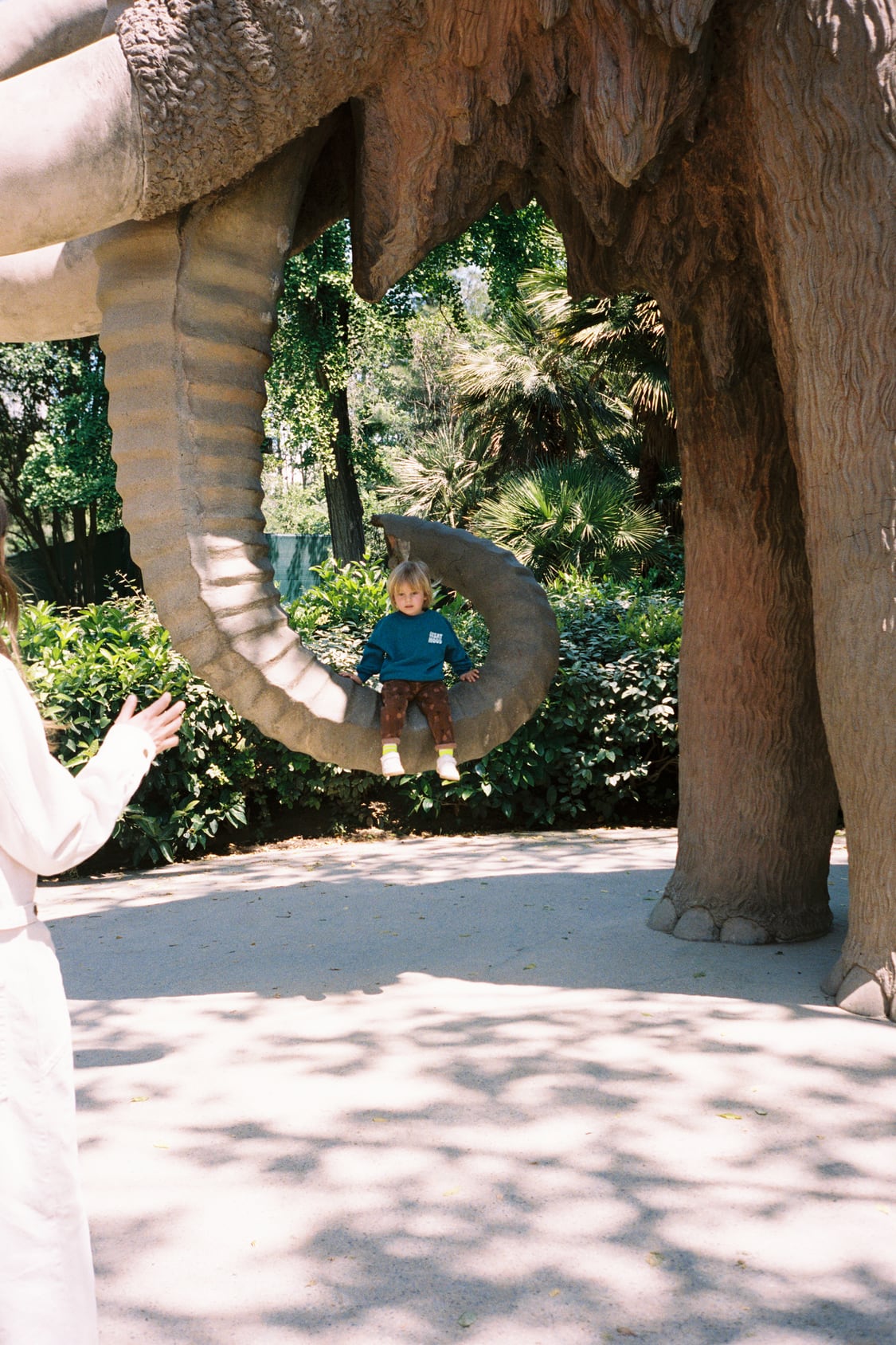 A walk in the park