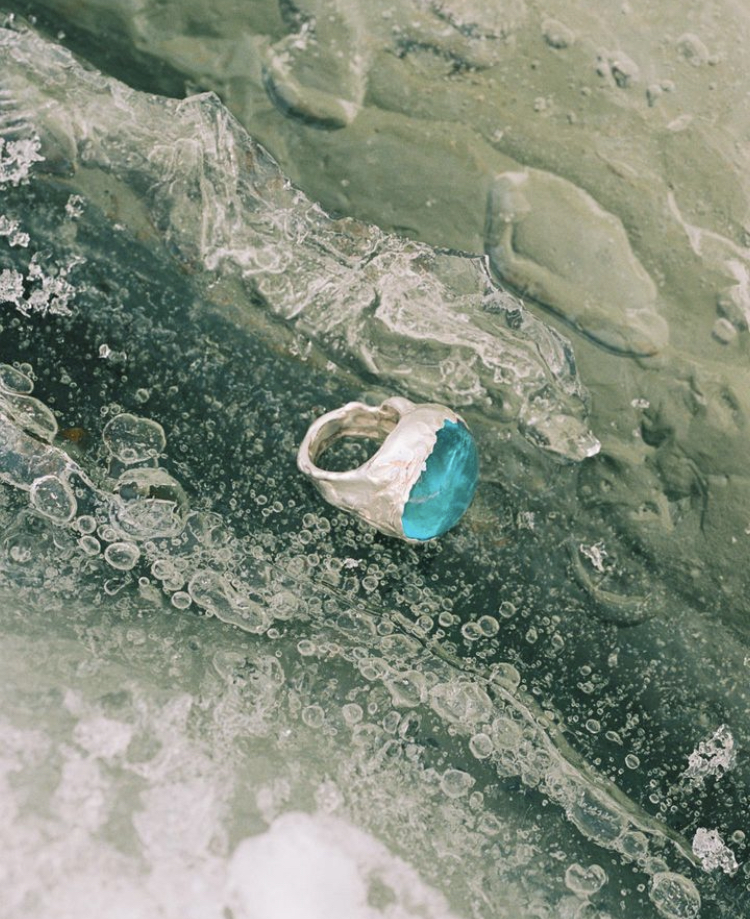 Antarctica Wildlife