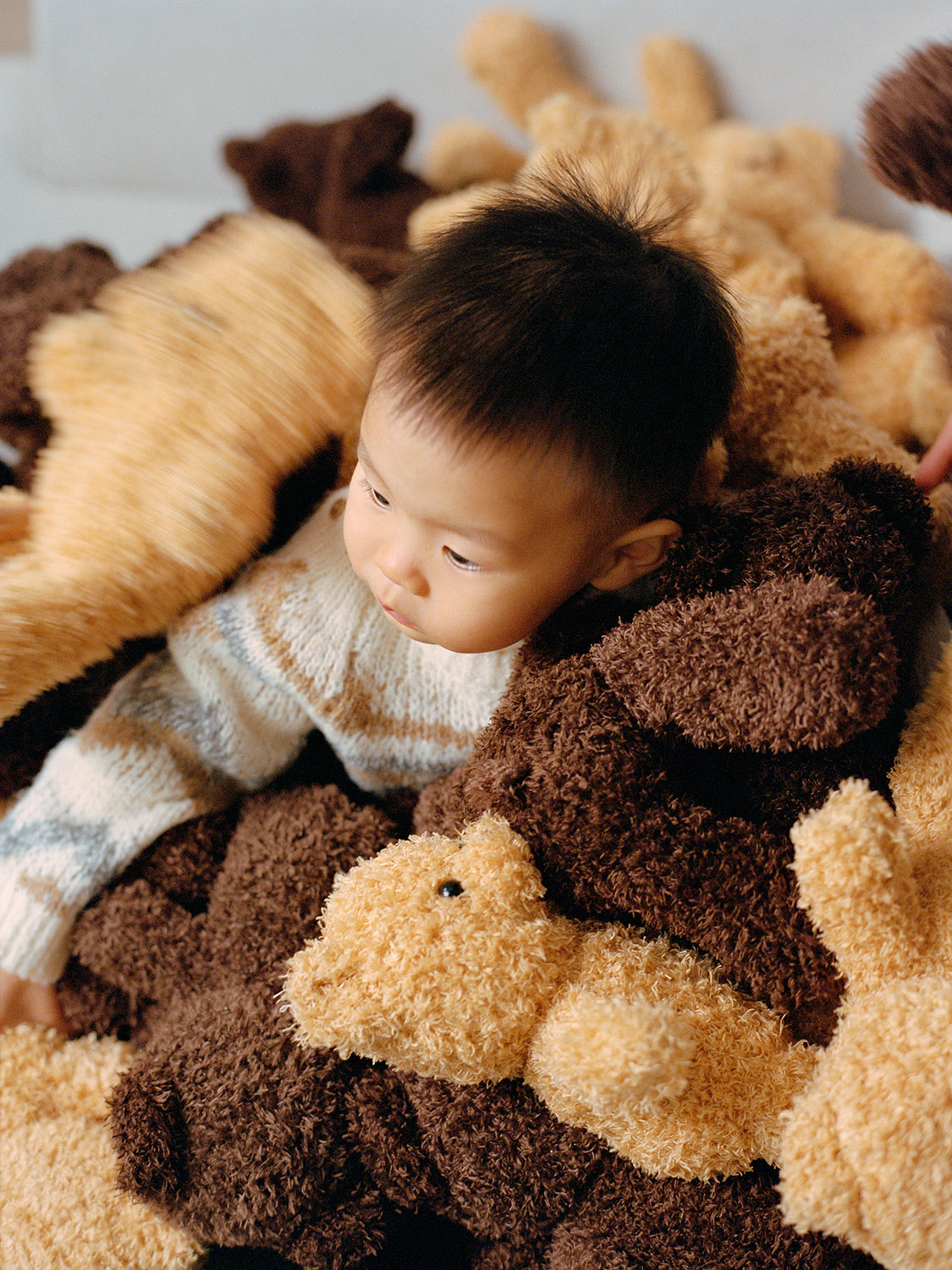 Teddy Bear Collection